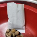 주아농장 이미지