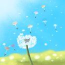 민들레유통 이미지