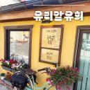 아기자기소품 | 강문해변 감성 소품샵 [유리알유희] 아기자기한 힐링 공간 내돈내산 후기 :)