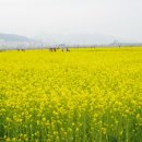 대저생태공원 이미지