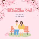 윈느헤어