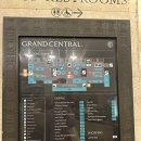 모아 dog | 뉴욕 맨해튼 나들이: 그랜드 센트럴 뮤지엄, 강아지 박물관 후기