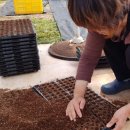 만재농장 이미지