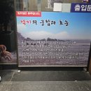 함평해보뻘낙지 이미지