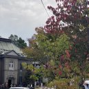 대성목재 노동조합 | 훗카이도 가을여행 2일차, 오타루 연어, 다나카주조 양조장, 스프카레, 텐구산 전망대, 이자카야