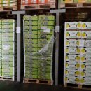 (주)골드레몬 이미지