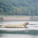 호명호수관광안내소 이미지