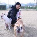 덕만농장 Daum카페