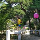 칠보우회도로 | 삼성산 삼막사에서 염불사로 - 2,(2018년 7월 22일)