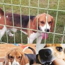 이병천농장 이미지