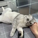 한마음동물의료원 이미지