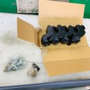 로얄맴버스 이미지