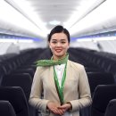 밤부항공(bamboo airway) 드디어 인천직항 취향 이미지