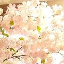 늘봄경희한의원 이미지