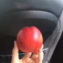 봉동참비지 | (후기)2018 싸이 흠뻑쇼 대구스타디움 보조경기장 / 흠뻑쇼 준비물 / 싸이매점 / 겨드레날린 뿜뿜 싸이...