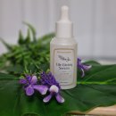 라이프기빙 이미지