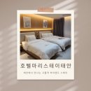 스테이호텔 | [태안 숙소] 호텔 마리스테이 태안 방문 후기