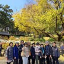 대천자동차정비 | [충남 보령] 죽도(竹島) 상화원(尙和園) 보령 가족여행