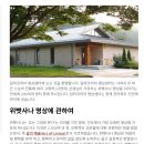 (주)명성카라인 | 위빠사나 명상 코스 체험 후기 (2026.06.17~06.27)