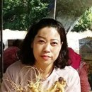 대림자동차정비 네이버블로그