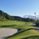 근영농산(주)양주컨트리클럽 이미지