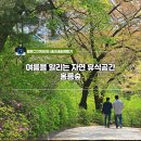 홍릉숲 이미지