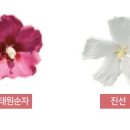 진선농장 이미지