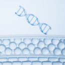 뷰티라인의원 이미지