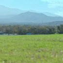 종은목장 3 이미지