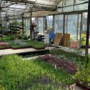 주암동농장 이미지