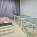 동백유치원 이미지