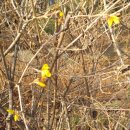 서리풀공원1-10 이미지