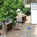 세그루 게스트하우스 이미지