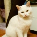 양평2동-1 이미지