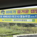 일영무두리캠핑장 | 서울근교에 계곡과 놀이 시설 잔뜩 일영 무두리 캠핑장 후기