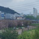 썸바디짐 이미지