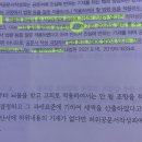 허위공문서작성죄 질문 이미지