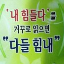 아영푸드 | 20. 훈련짜고 침흘리며 수영하고 스타트 뛰러가는 10월 수영 일상🤪