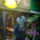 고목나무 이미지