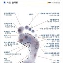 굿피트 이미지