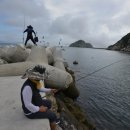 강태공민박 이미지