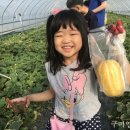 황상초등학교 구미일보