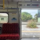 경로식당(동강경로당) | 자연친화적 대만 배낭여행(6일) - 2보 전진을 위한 1보 후퇴