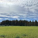 임영순농장 이미지