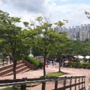 사리원밀면 이미지