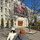 서울제일보조기 | 서울시청 스케이트장 예약 및 준비물! 아이랑 서울광장 아이스링크장 다녀온 후기