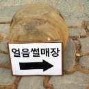 (주)스파밸리 썰매장