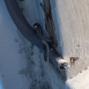 차오름의원 이미지