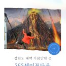 365착한가격 | [태백여행] 태백 실내여행 가볼만한 곳 :: 365세이프타운 후기