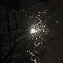 안생약국 이미지